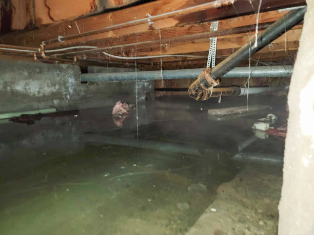 Fire Damage Restoration in DE