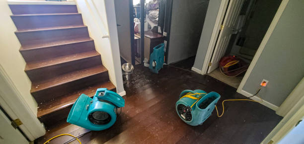 Best Water damage contractors near me  in Rehoboth Beach, DE