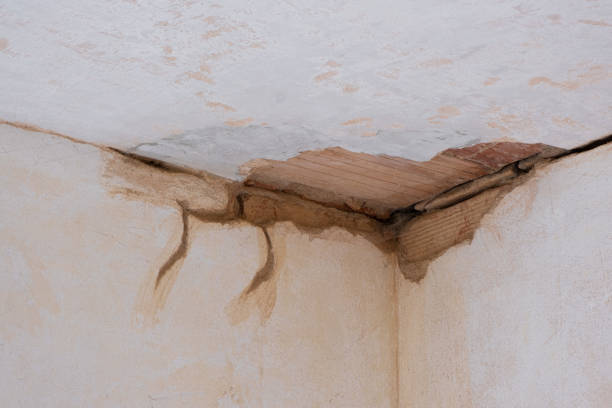 Best Flood damage cleanup  in Rehoboth Beach, DE