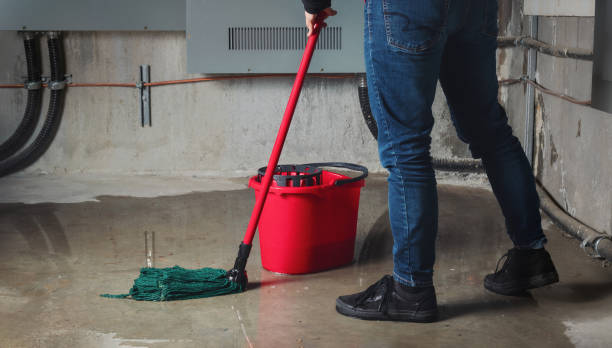 Best Water damage restoration near me  in Rehoboth Beach, DE