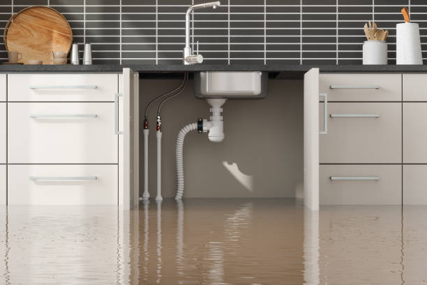 Best Mold removal after water damage  in Rehoboth Beach, DE