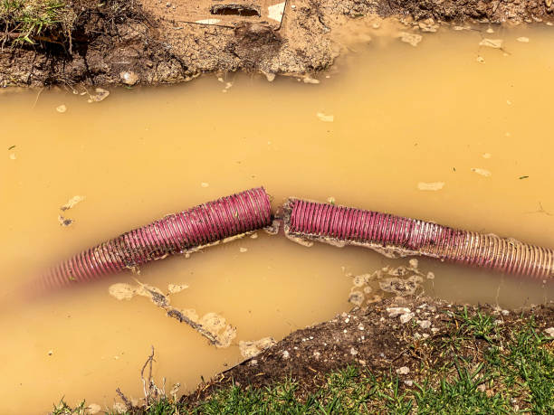 Best Carpet water damage restoration  in Rehoboth Beach, DE