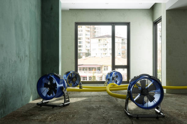 Best 24-hour water damage restoration  in Rehoboth Beach, DE